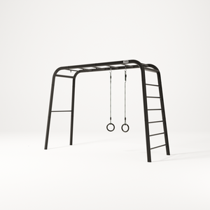 Gymnastic Rings