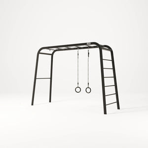 Gymnastic Rings