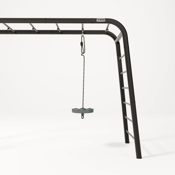 Monkey Swing
