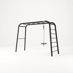 Monkey Swing