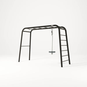 Monkey Swing