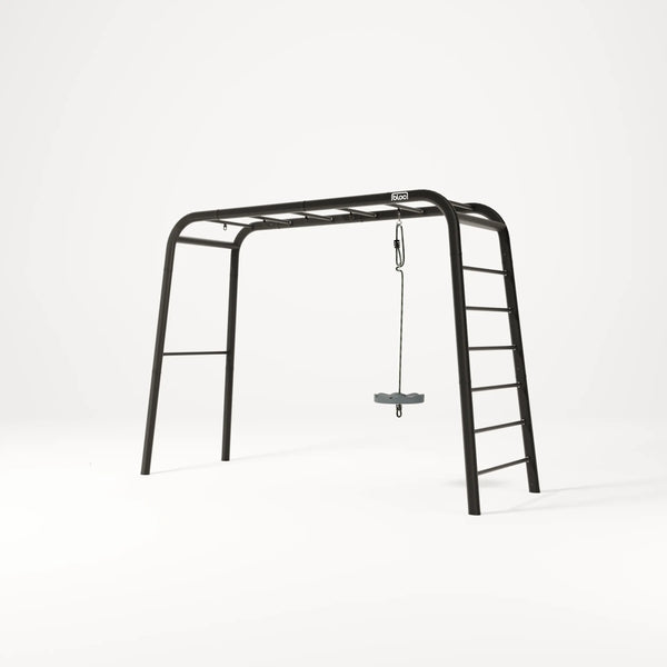 Monkey Swing