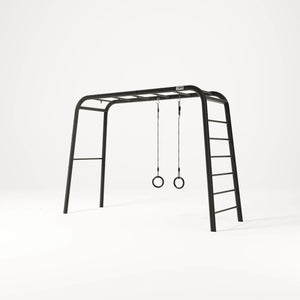 Gymnastic Rings