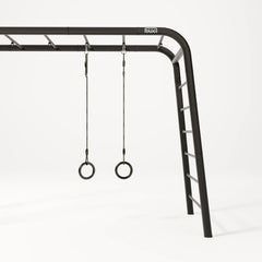 Gymnastic Rings